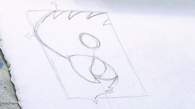 OUTLINE: black cockatoo